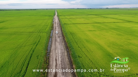 DOS EÓLICOS VIRA P FAZENDA_Moment.00_01_41_03.Quadro052_ec15f616f7b054cb0ee0fe66df2e94b3e67b859a.png